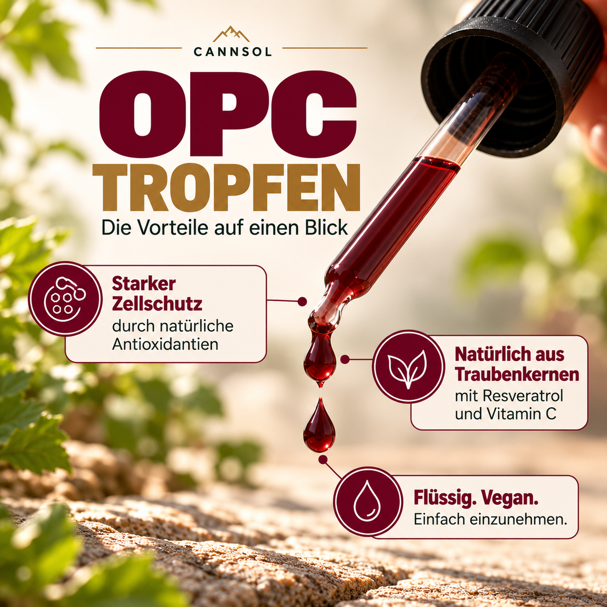 OPC Traubenkern-Extrakt mit Resveratrol und Vitamin C – antioxidativer Zellschutz für jeden Tag.